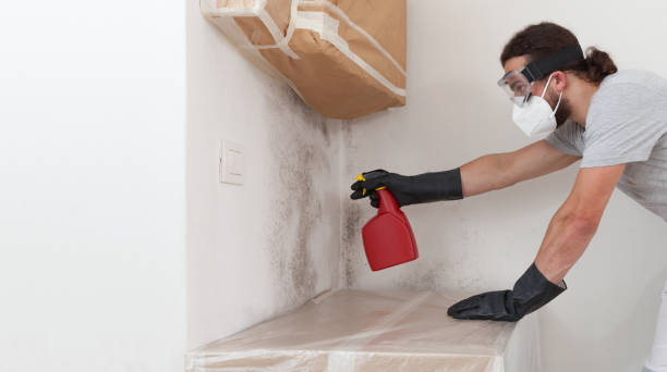 Professional Basement Mold Remediation technician working in Duncannon, PA